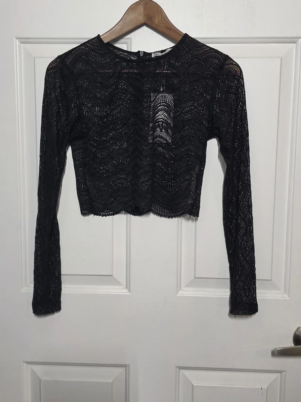 ZARA Black Lace Semi-Sheer Cropped Top
